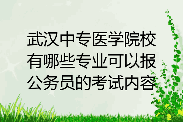 武汉中专医学院校有哪些专业可以报公务员的考试内容