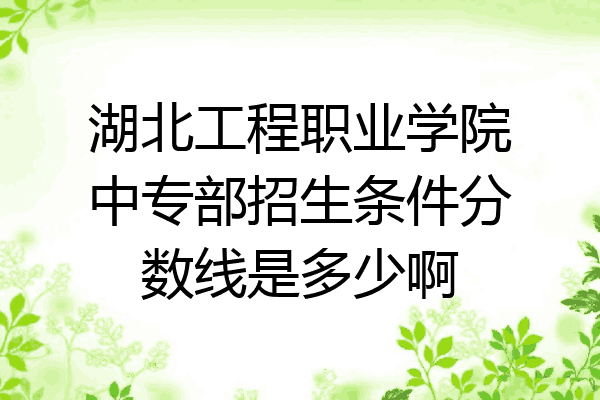 湖北工程职业学院中专部招生条件分数线是多少啊