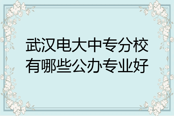 武汉电大中专分校有哪些公办专业好