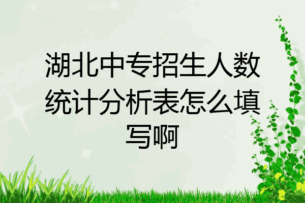 湖北中专招生人数统计分析表怎么填写啊