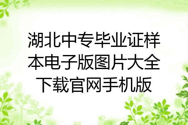 湖北中专毕业证样本电子版图片大全下载官网手机版