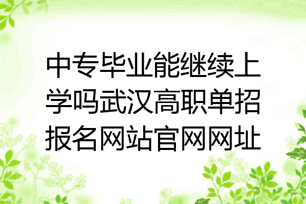 中专毕业能继续上学吗武汉高职单招报名网站官网网址