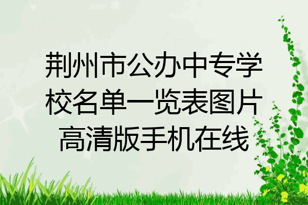 荆州市公办中专学校名单一览表图片高清版手机在线