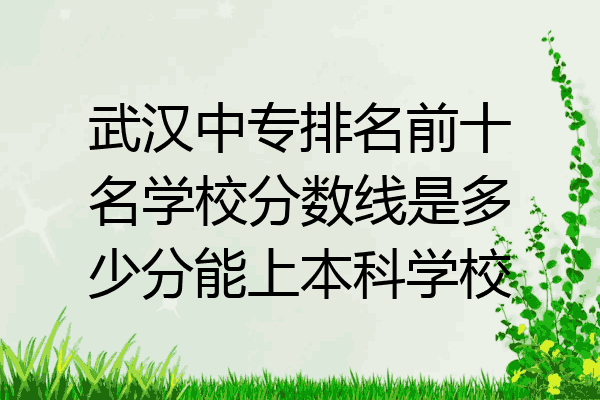 武汉中专排名前十名学校分数线是多少分能上本科学校