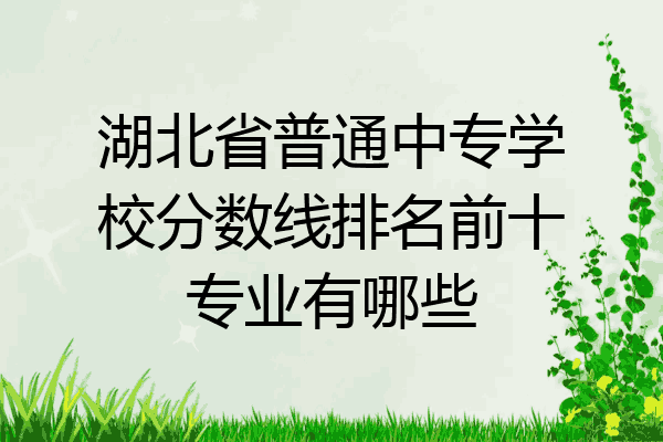 湖北省普通中专学校分数线排名前十专业有哪些