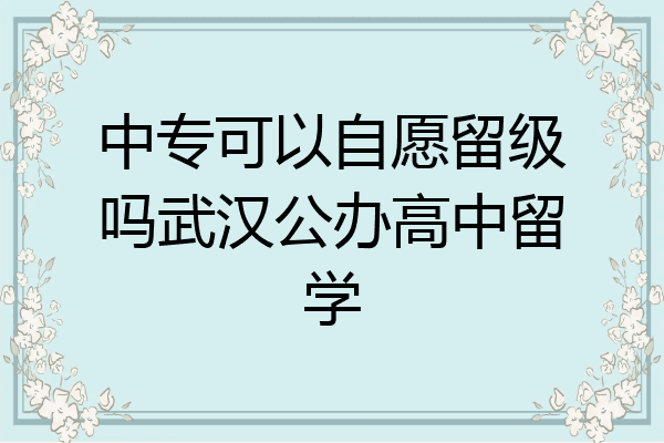 中专可以自愿留级吗武汉公办高中留学