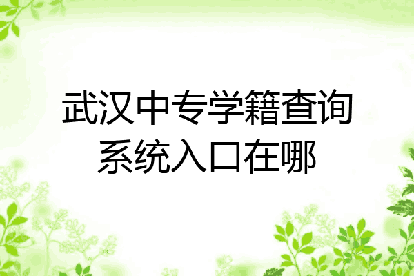 武汉中专学籍查询系统入口在哪