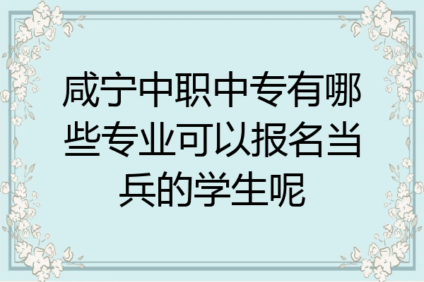 咸宁中职中专有哪些专业可以报名当兵的学生呢