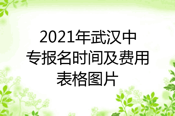 2021年武汉中专报名时间及费用表格图片