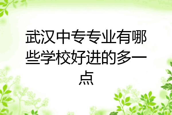 武汉中专专业有哪些学校好进的多一点