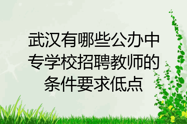 武汉有哪些公办中专学校招聘教师的条件要求低点