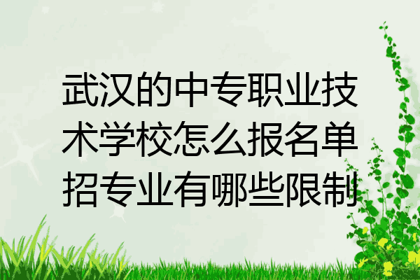 武汉的中专职业技术学校怎么报名单招专业有哪些限制