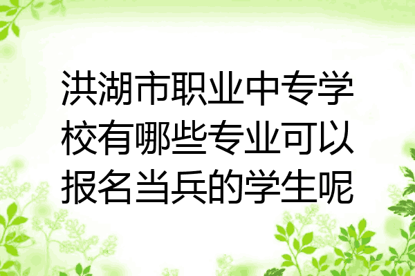 洪湖市职业中专学校有哪些专业可以报名当兵的学生呢