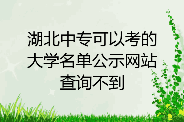 湖北中专可以考的大学名单公示网站查询不到