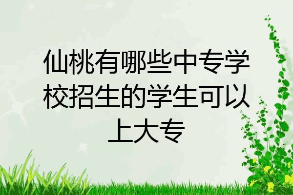 仙桃有哪些中专学校招生的学生可以上大专