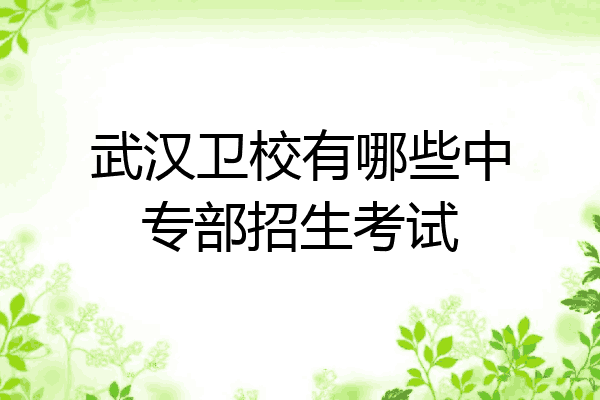 武汉卫校有哪些中专部招生考试