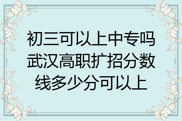 初三可以上中专吗武汉高职扩招分数线多少分可以上
