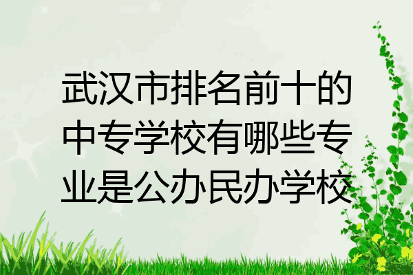 武汉市排名前十的中专学校有哪些专业是公办民办学校