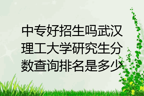 中专好招生吗武汉理工大学研究生分数查询排名是多少
