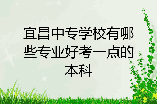宜昌中专学校有哪些专业好考一点的本科