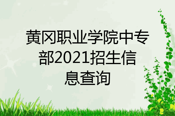 黄冈职业学院中专部2021招生信息查询
