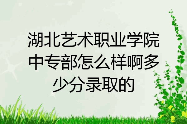 湖北艺术职业学院中专部怎么样啊多少分录取的
