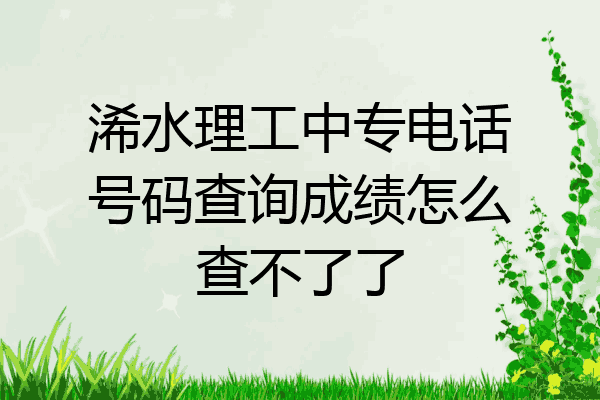 浠水理工中专电话号码查询成绩怎么查不了了