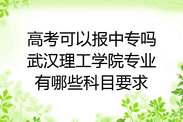 高考可以报中专吗武汉理工学院专业有哪些科目要求