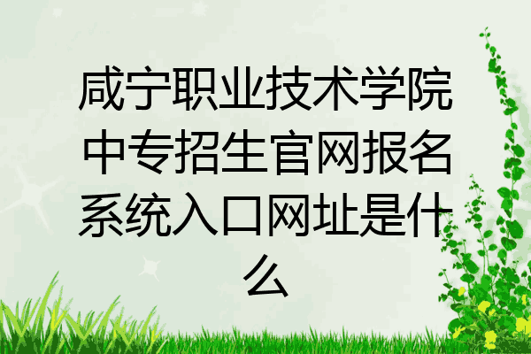 咸宁职业技术学院中专招生官网报名系统入口网址是什么