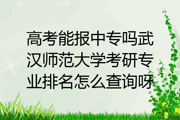 高考能报中专吗武汉师范大学考研专业排名怎么查询呀