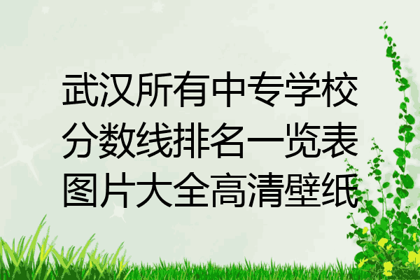 武汉所有中专学校分数线排名一览表图片大全高清壁纸