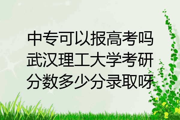 中专可以报高考吗武汉理工大学考研分数多少分录取呀
