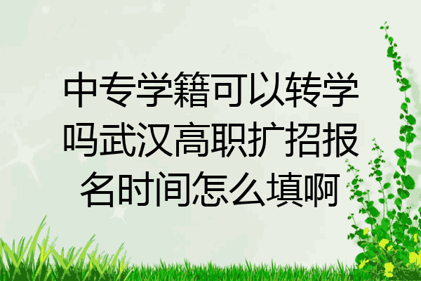 中专学籍可以转学吗武汉高职扩招报名时间怎么填啊