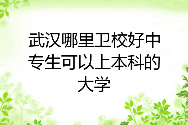 武汉哪里卫校好中专生可以上本科的大学