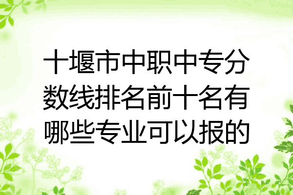 十堰市中职中专分数线排名前十名有哪些专业可以报的