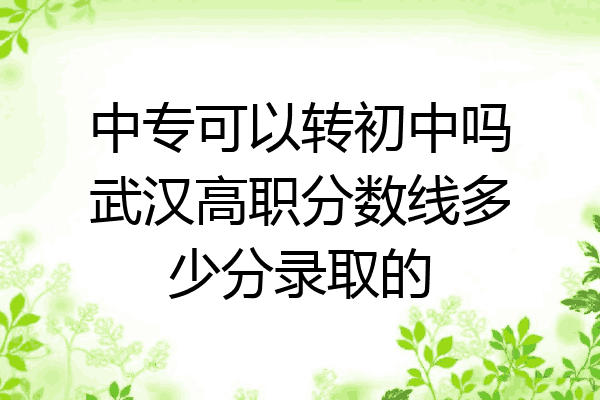 中专可以转初中吗武汉高职分数线多少分录取的