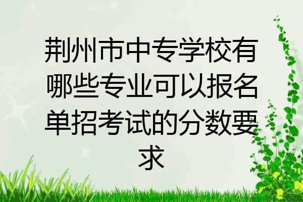 荆州市中专学校有哪些专业可以报名单招考试的分数要求