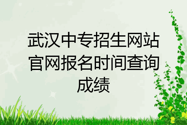 武汉中专招生网站官网报名时间查询成绩