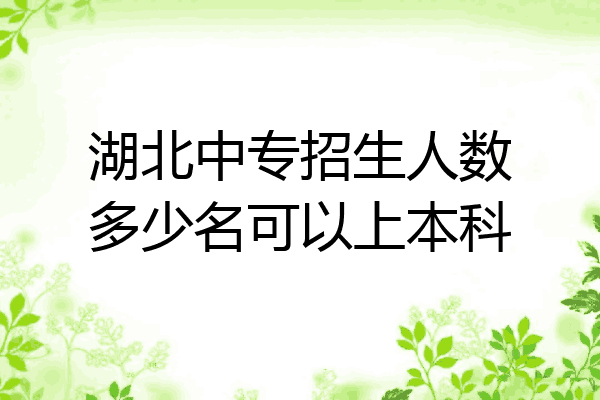 湖北中专招生人数多少名可以上本科
