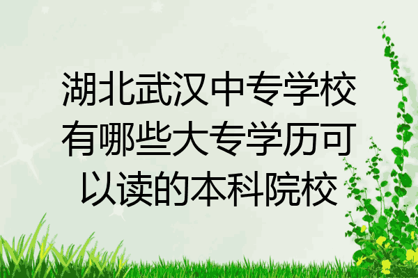 湖北武汉中专学校有哪些大专学历可以读的本科院校