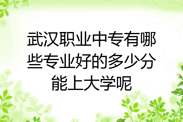 武汉职业中专有哪些专业好的多少分能上大学呢