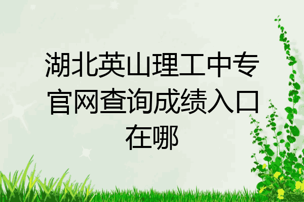 湖北英山理工中专官网查询成绩入口在哪