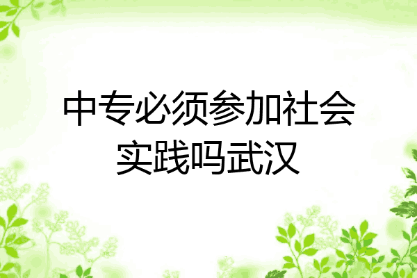 中专必须参加社会实践吗武汉