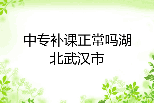 中专补课正常吗湖北武汉市