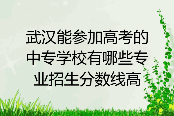 武汉能参加高考的中专学校有哪些专业招生分数线高