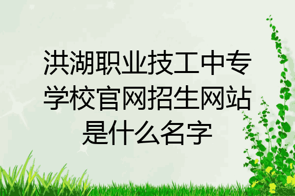 洪湖职业技工中专学校官网招生网站是什么名字