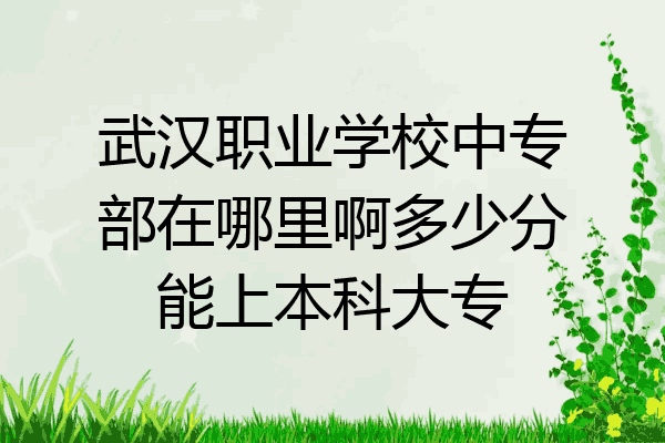 武汉职业学校中专部在哪里啊多少分能上本科大专