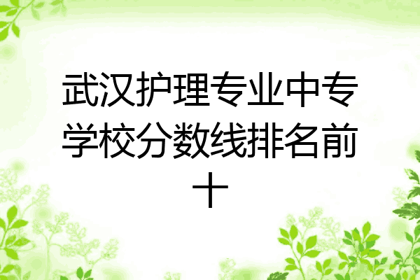 武汉护理专业中专学校分数线排名前十