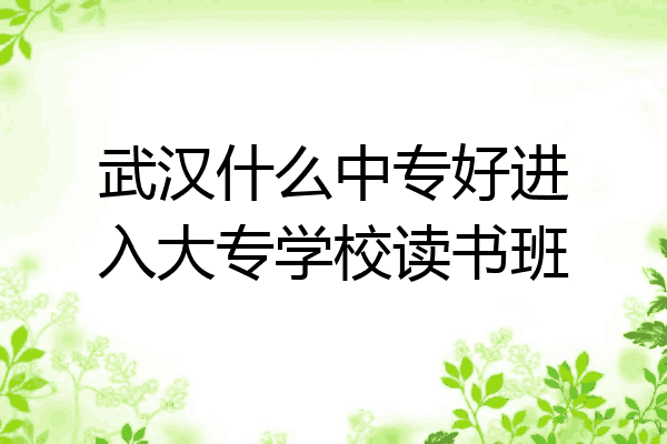 武汉什么中专好进入大专学校读书班