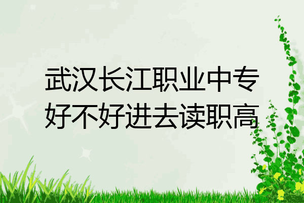 武汉长江职业中专好不好进去读职高